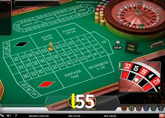 Descubra a Essência do l55: Nossa História e Compromissos